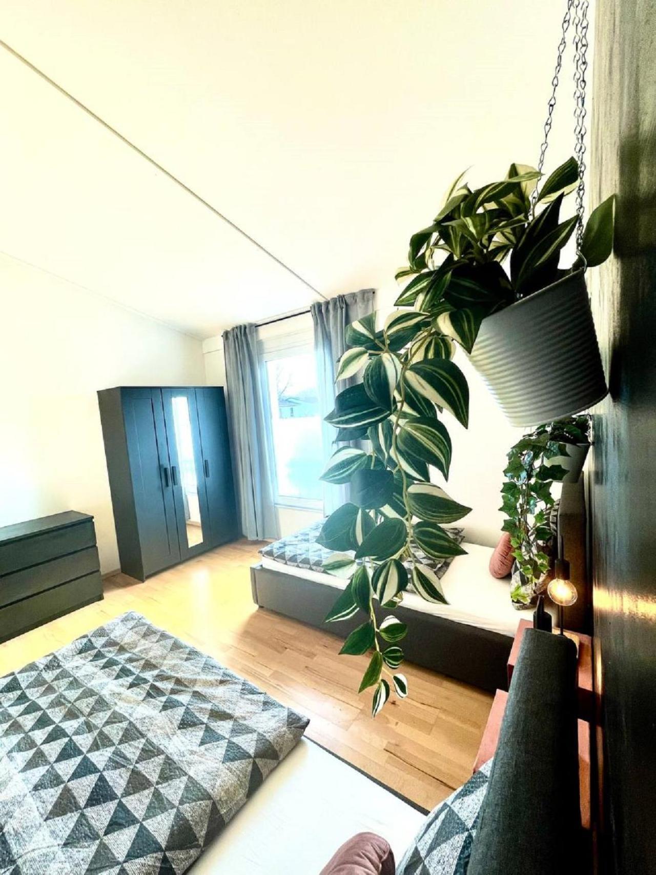 Geraeumiges Ferienhaus In Koblenz Koblenz  Exteriör bild